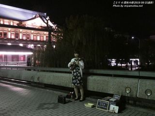 ことり(#34)
