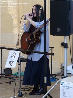 宏菜(#205)