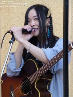 宏菜(#210)