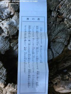 「令和3年初詣」(武州柿生琴平神社)