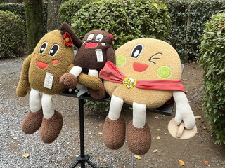 �E�� / �u����Ђ�̍ЊQ�����`�����e�B�[���C�u Vol.174�v