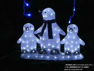 「第35回宮ヶ瀬クリスマスみんなのつどい」(#70)