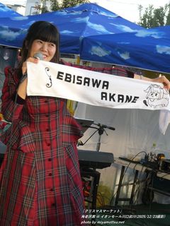 �C�V��(#3337)