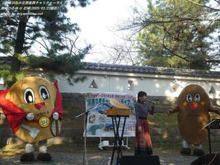 潮崎ひろの(#53070)