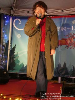 ����������(#2072)