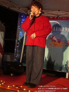 ����������(#2076)