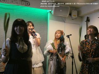 集合写真(#11587)
