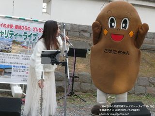 ��X�^���q(#5358)