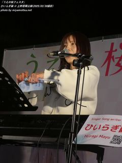 ひいらぎ繭(#16235)