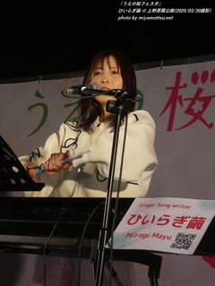 ひいらぎ繭(#16236)