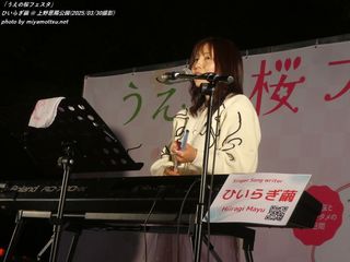 ひいらぎ繭(#16238)