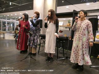 �W���ʐ^(#5433)