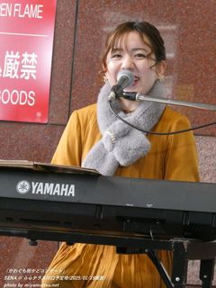 SENA(#2747)