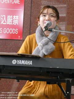 SENA(#2749)