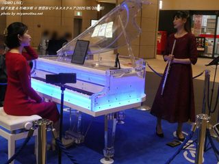 vqF & 荹(#311)