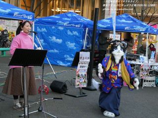 �|���肳(#24651)