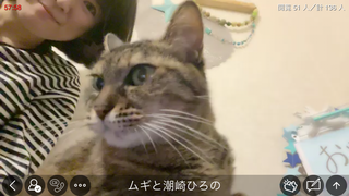 潮崎ひろの(#26590)