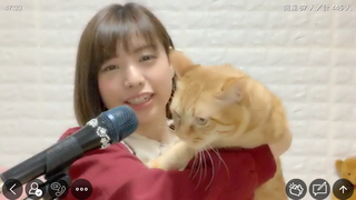 伊藤さくら(#3081)