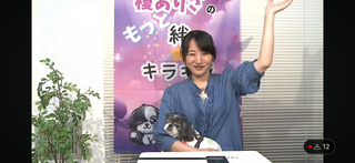 榎ありさ(#23347)