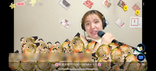 SENA(#3197)