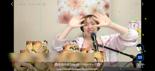 SENA(�R�莬��)(#6536)